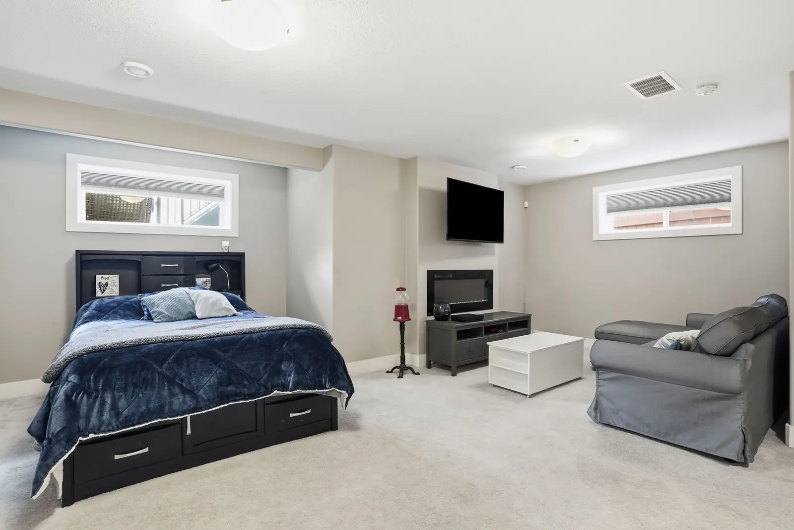 Basement family room with room for both a lounge and a sleeping area